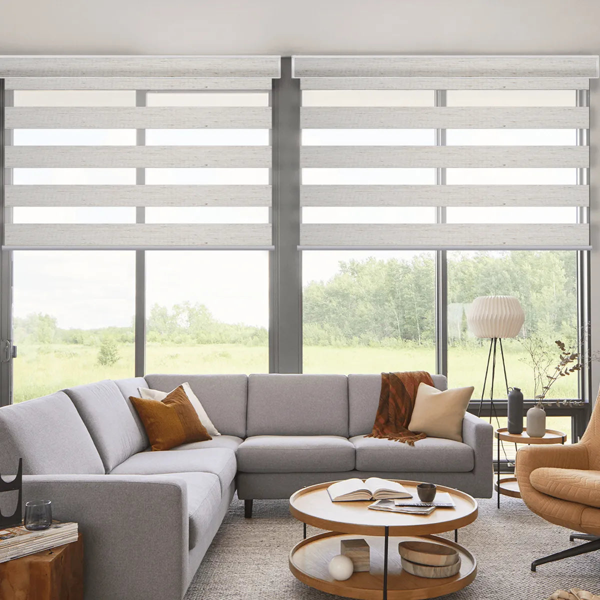 Weffort Motorized Room Darkening Zebra Shades Gorgeous Series